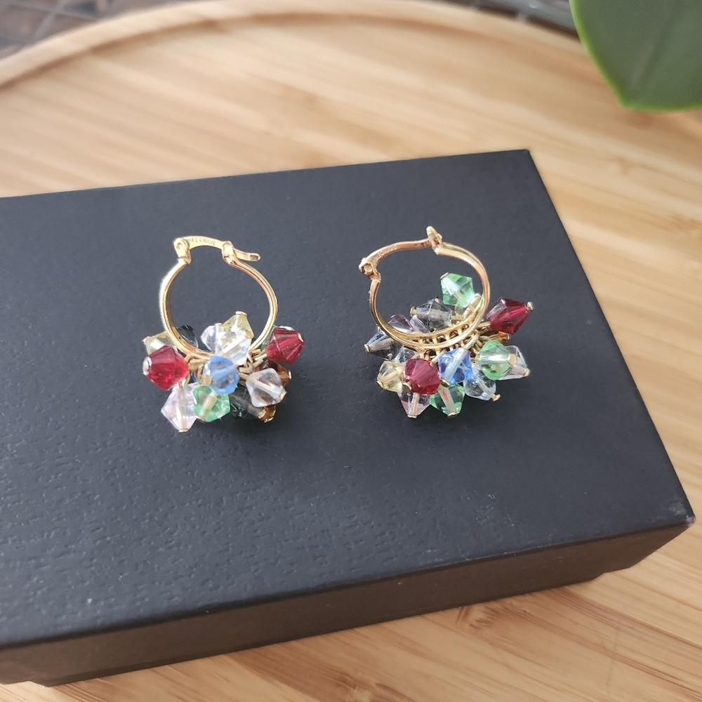 Precious earrings